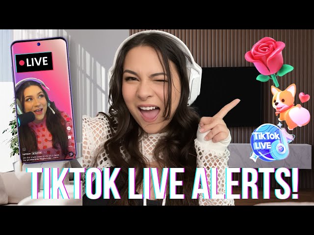 viewer comparing TikTok live stream alerts and Following feed for finding live streams